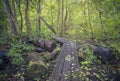 Wooden Walkway at Ivans Bro, Denmark