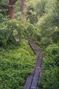 Wooden Walkway at Ivans Bro, Denmark