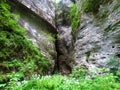 Wooden walkway leading into a cave at Pokljuka gorge in Gorenjska, Slovenia