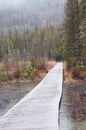 Liard Hot Springs Alaska Highway, Yukon, Canada