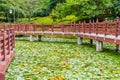 Wooden walkway in lily pond