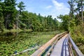 Wooden walkway through marsh at Pinery Provincial Park Royalty Free Stock Photo