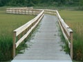 Wooden Walkway in Michigan Royalty Free Stock Photo