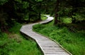 Wooden walkway in a nature reserve in a spruce forest in the mountains over a waterlogged peat bog, gray solid wood across 1m wide