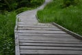 Wooden walkway in a nature reserve in a spruce forest in the mountains over a waterlogged peat bog, gray solid wood across 1m wide