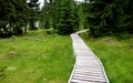 Wooden walkway in a nature reserve in a spruce forest in the mountains over a waterlogged peat bog, gray solid wood across 1m wide