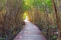 Wooden walkway at nature trail Royalty Free Stock Photo