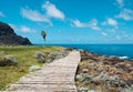 Wooden walkway near ocean coast  - wood footpath Royalty Free Stock Photo