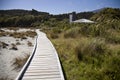 Wooden Walkway New Zeland