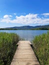 Wooden walkway over lake and aquatic vegetation in natural environment. Pedestrian bridge made of wood on pontoons. Landscape and Royalty Free Stock Photo