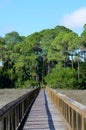 Wooden walkway over marshy land Royalty Free Stock Photo