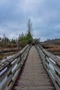 Wooden Walkway Over Wetlands On A Winter Day Royalty Free Stock Photo