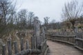 wooden walkway path