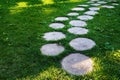 Wooden walkway, path of tree stumps on green grass in sunny summer day Royalty Free Stock Photo