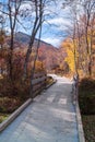 Wooden Walkway at the Peaks of Otter Royalty Free Stock Photo