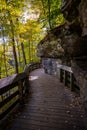 Wooden Walkway Snakes Through Rock Wall and Bright Trees