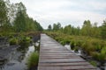 Wooden walkway at Soumarske raseliniste