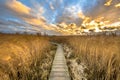 Wooden walkway through tidal marsh