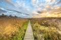 Wooden walkway through tidal marsh