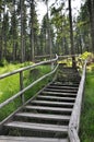 Wooden walkway to Boubin top