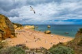 Wooden walkway to famous Praia Dona Ana beach with turquoise sea water and cliffs, flying seagulls over the beach, Portugal.