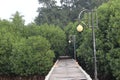 Wooden Walkway Uniting Mangroves for Conservation and Exploration Royalty Free Stock Photo