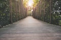 Wooden walkway, wood bridge through forest