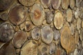 Wooden wall as background. Wall made of round wood, round, stump. Logs in a stacked wall. Texture of wood. Can use as wallpaper.