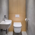 Toilet in bathroom with wooden wall Royalty Free Stock Photo