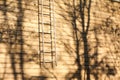 The wooden wall of a country house with stairs. Bright shadows of trees on the wall of wooden house Royalty Free Stock Photo