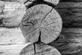 Wooden wall made from logs. Wood black white texture background. Close up Royalty Free Stock Photo