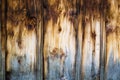 Wooden wall made of stained brown vertical battens Royalty Free Stock Photo