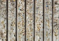 Wooden wall with old pins and staples. Vintage bulletin board. Royalty Free Stock Photo