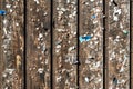 Wooden wall with old pins and staples. Vintage bulletin board. Royalty Free Stock Photo