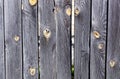 Wooden wall planking. Texture of grey wooden fence. Background of old wood planks rustic Royalty Free Stock Photo