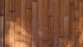 Wooden wall and shadows from palm leaves.