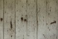 Wooden wall texture.  Great for your design and texture background. Free space for text. Royalty Free Stock Photo