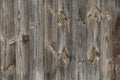 Wooden wall texture,background