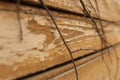 Wooden wall and tree branches pattern. Direction: from right to left Royalty Free Stock Photo