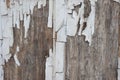 Old white paint on wood closeup texture, peeled paint, antique, vintage, copy space pattern blank Royalty Free Stock Photo