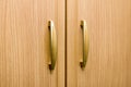 Wooden wardrobe knobs Royalty Free Stock Photo