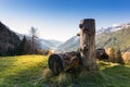 Wooden water fountain for cows Royalty Free Stock Photo