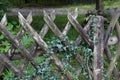 Wooden wattle fence in a garden Royalty Free Stock Photo