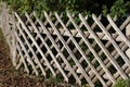 Wooden wattle fence in a garden