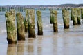 Wooden wave breakers in the sea Royalty Free Stock Photo
