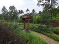 Wooden well in the green garden. Well in the green garden in the backyard of a building Royalty Free Stock Photo