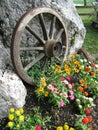 Wooden wheel