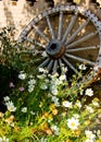 Wooden wheel Royalty Free Stock Photo