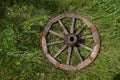 Wooden wheel on a background of green grass