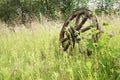 Wooden wheel on a background of green grass